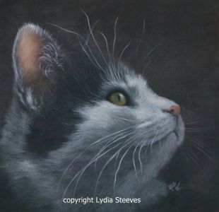 Zinger Acrylic Online Class